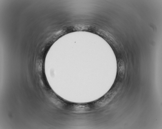 X0000111450315200908241211