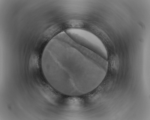 X0000111450316200908241211