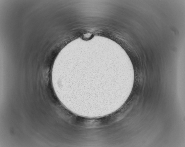 X0000111450319200908241211