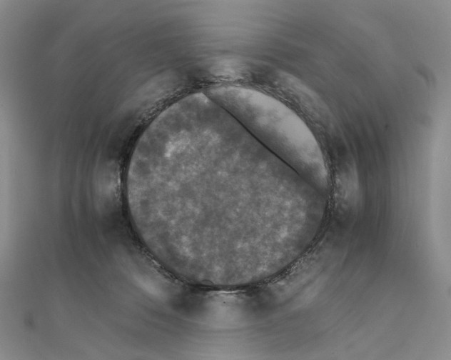 X0000111450320200908241211