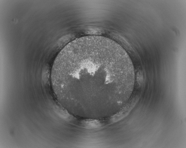 X0000111450322200908241211