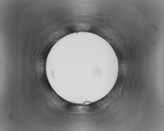 X0000111450323200908241211