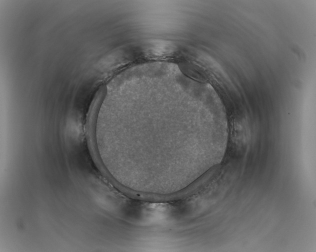 X0000111450324200908241211
