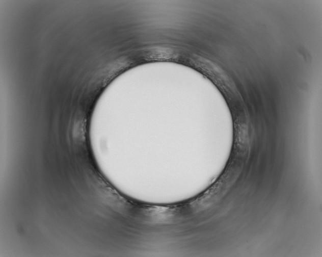 X0000111450326200908241211