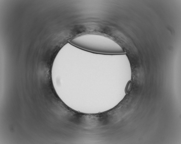 X0000111450327200908241211