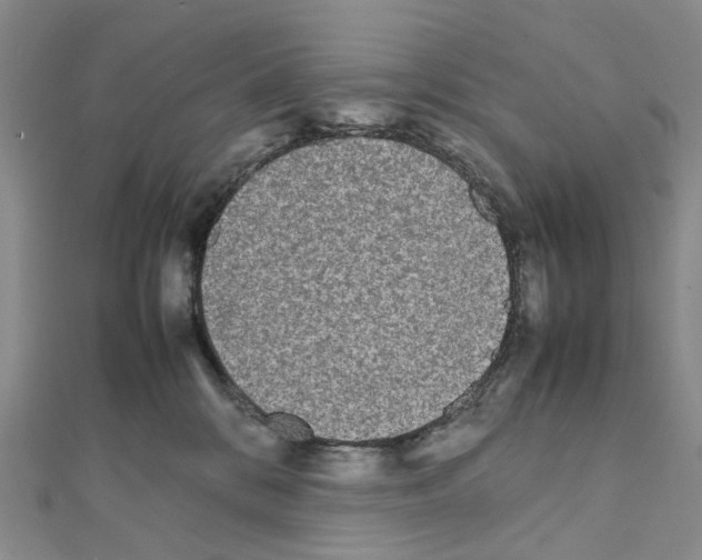 X0000111450328200908241211