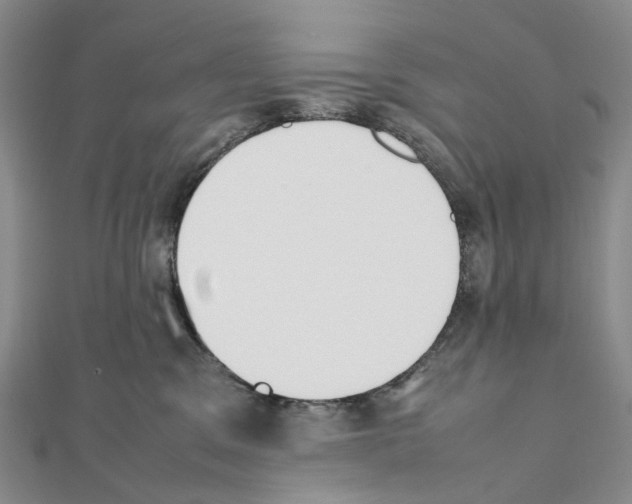 X0000111450329200908241211