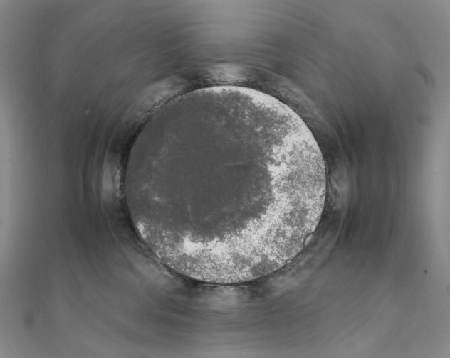 X0000111450330200908241211