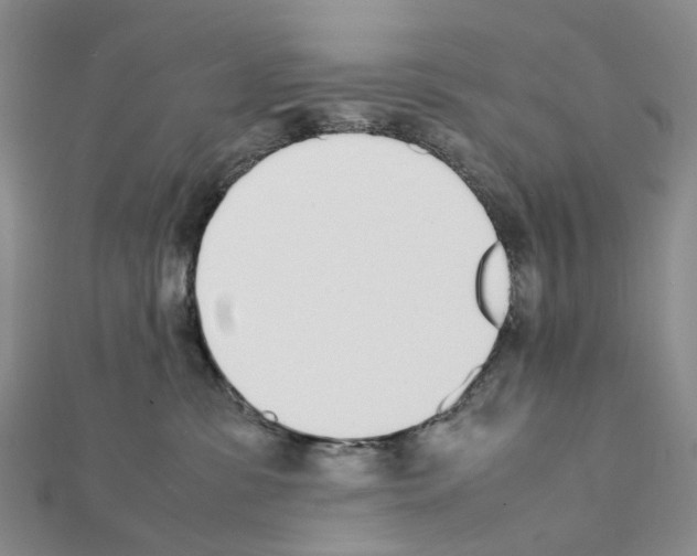 X0000111450331200908241211