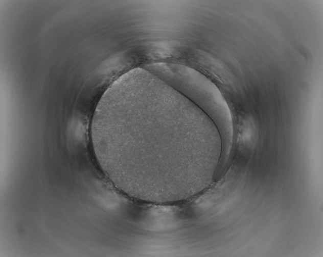 X0000111450332200908241211