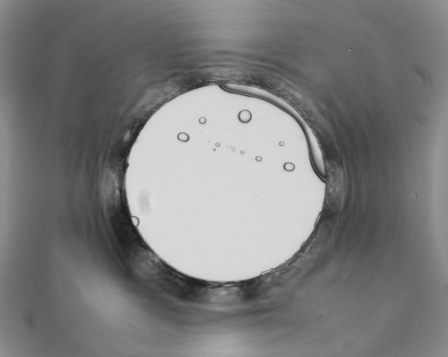 X0000111450333200908241211