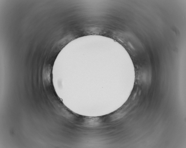X0000111450334200908241211