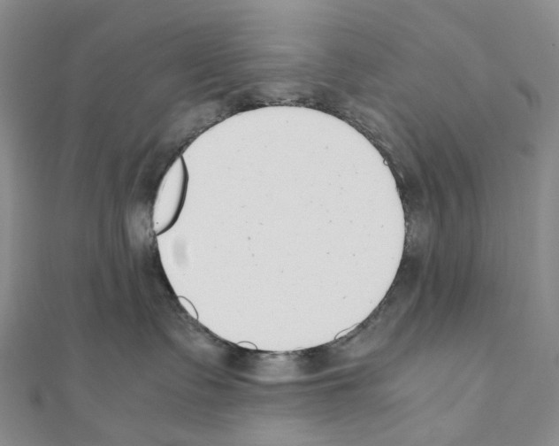 X0000111450335200908241211
