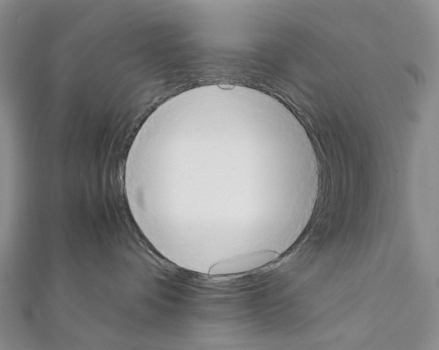 X0000111450336200908241211