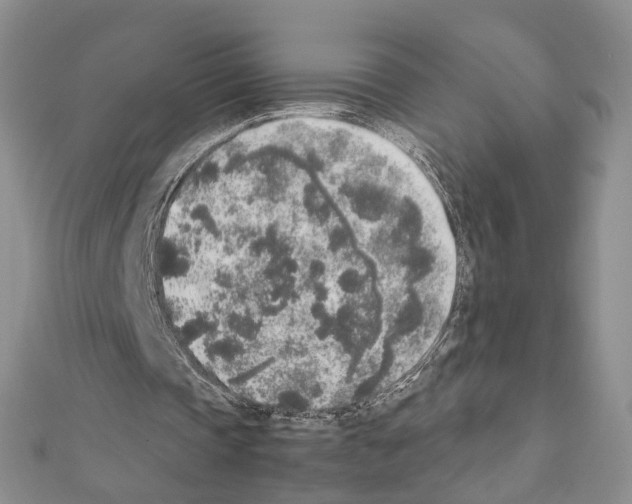 X0000111450337200908241211