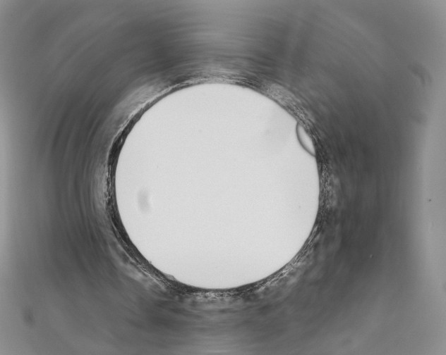 X0000111450338200908241211