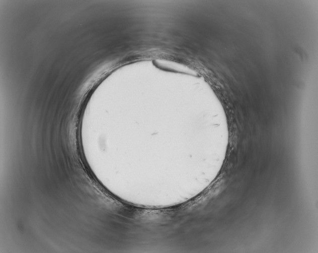 X0000111450341200908241211
