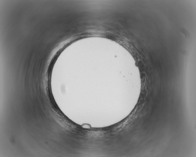 X0000111450342200908241211