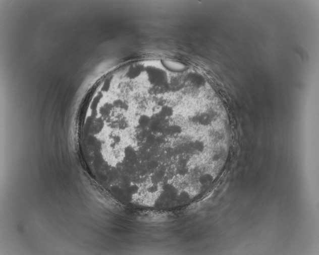 X0000111450343200908241211