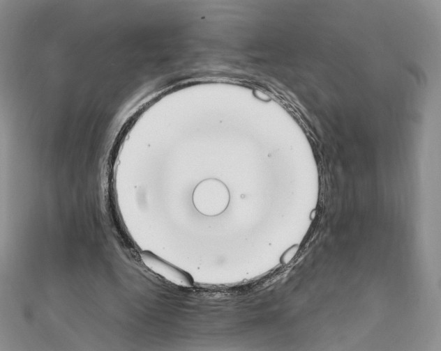 X0000111450344200908241211