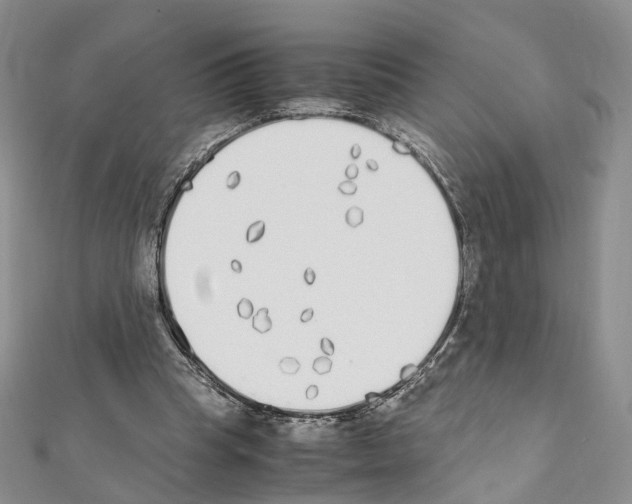 X0000111450345200908241211