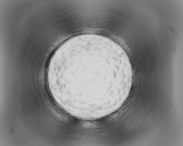 X0000111450346200908241211