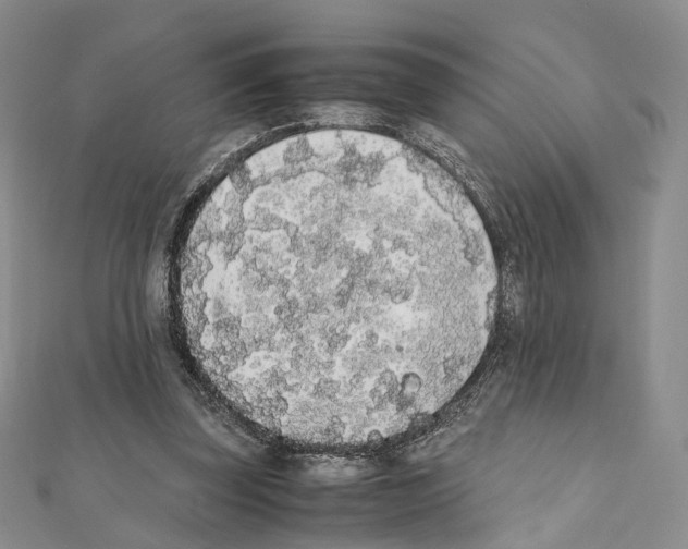 X0000111450347200908241211