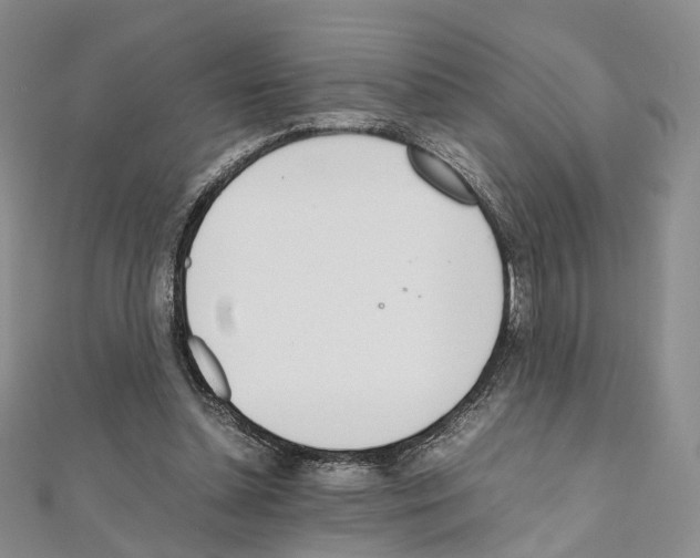 X0000111450348200908241211