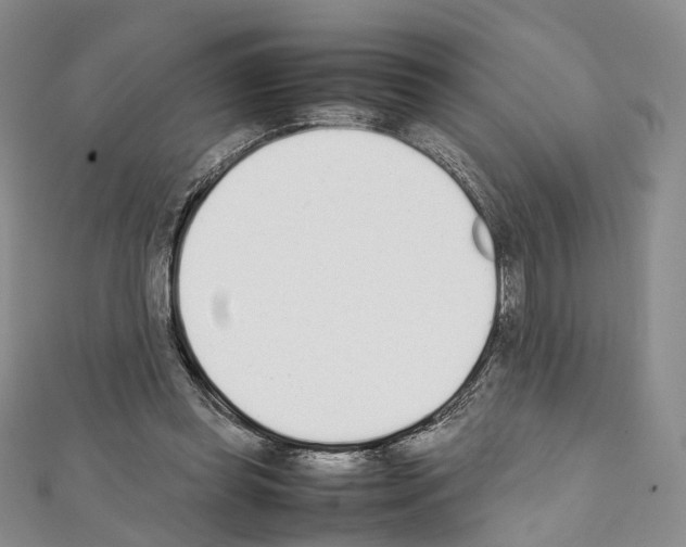 X0000111450349200908241211