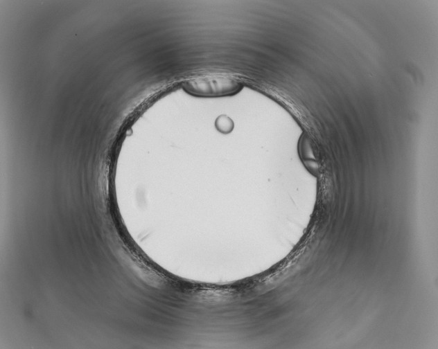 X0000111450350200908241211