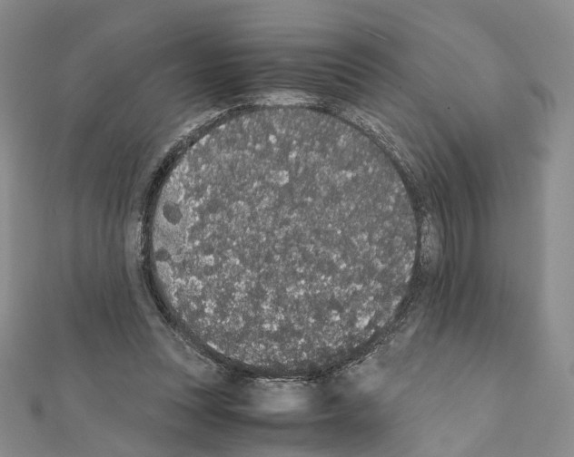 X0000111450351200908241211