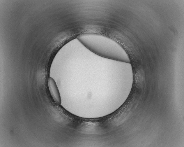 X0000111450352200908241211