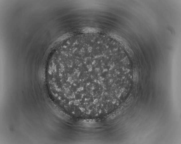 X0000111450353200908241211