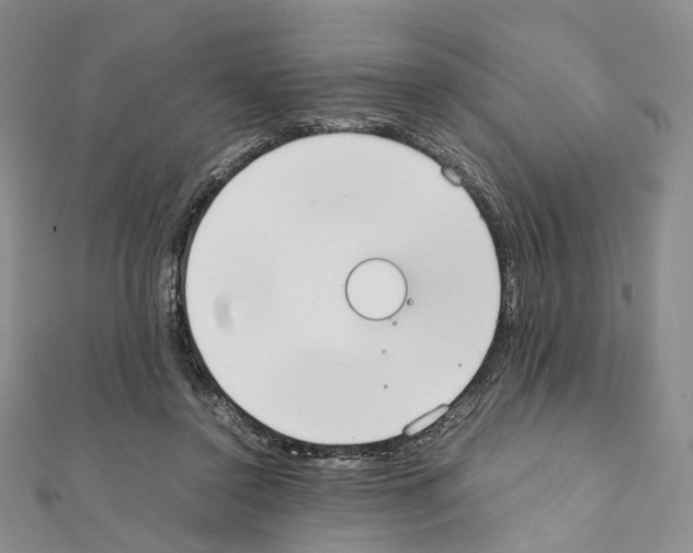 X0000111450356200908241211