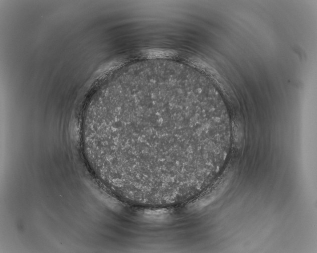 X0000111450357200908241211