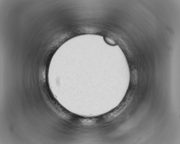X0000111450358200908241211