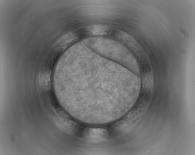 X0000111450360200908241211