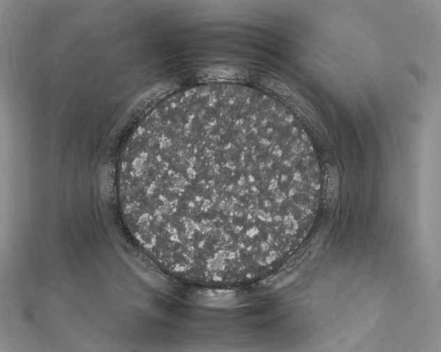 X0000111450361200908241211