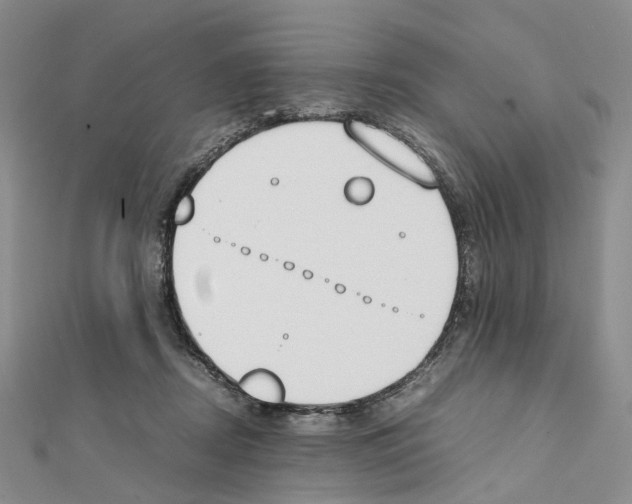 X0000111450362200908241211