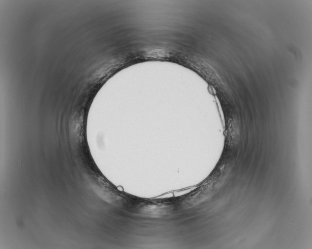 X0000111450364200908241211