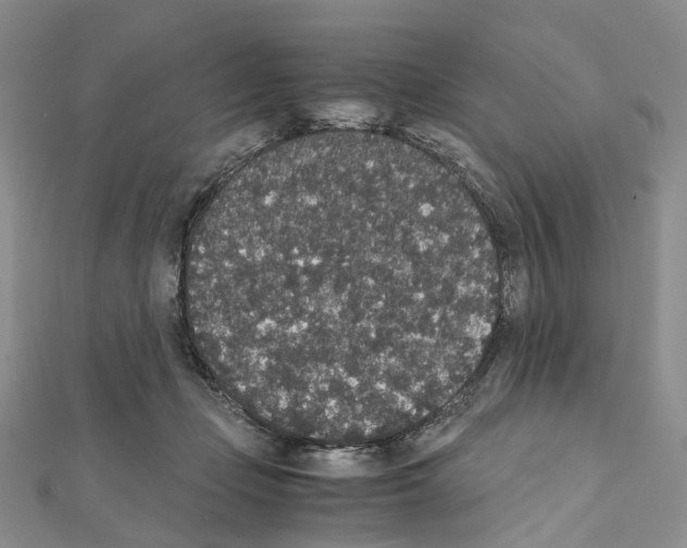X0000111450365200908241211