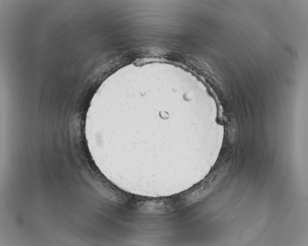 X0000111450366200908241211