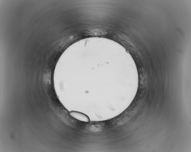 X0000111450368200908241211