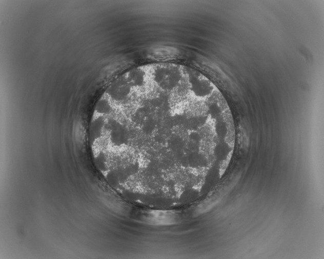 X0000111450371200908241211