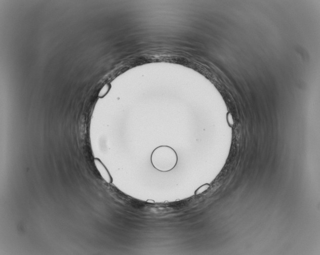 X0000111450372200908241211