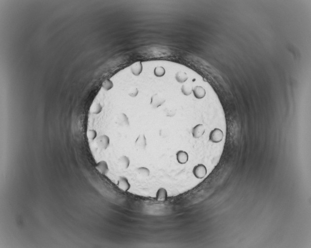 X0000111450373200908241211