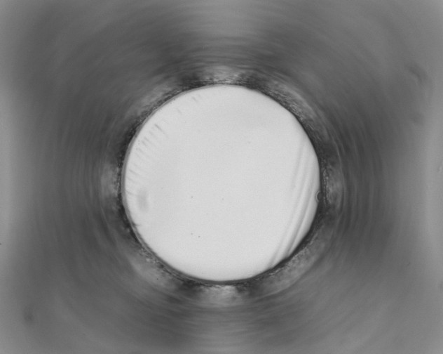 X0000111450374200908241211