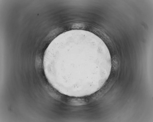 X0000111450375200908241211