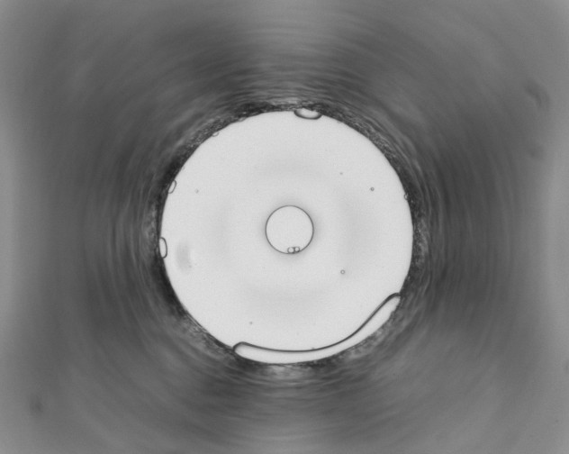 X0000111450376200908241211