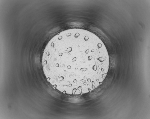 X0000111450377200908241211